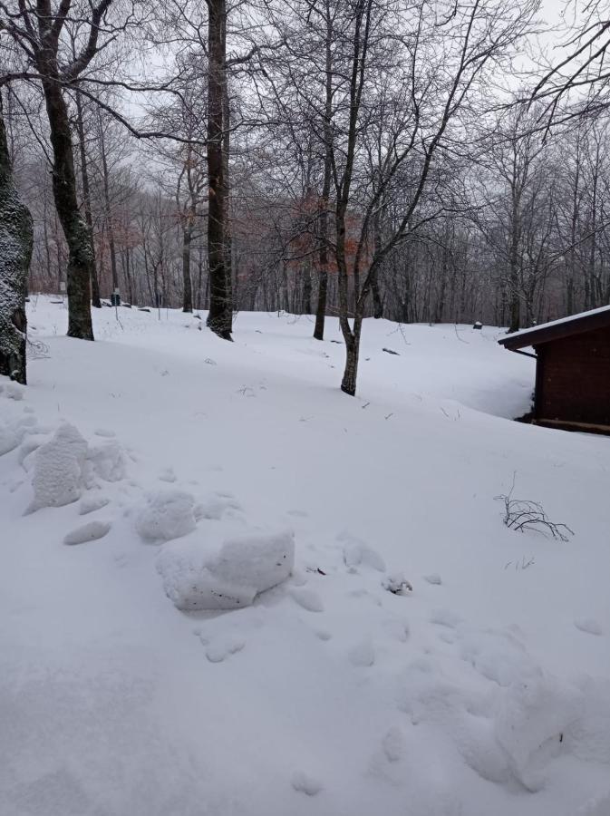 Villaggio Anemone Chalet Fragolina Capanne di Sillano Exterior foto